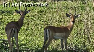 [P44] prin parcul natural » foto by robert
 - 
<span class="allrVoted glyphicon glyphicon-heart hidden" id="av1513792"></span>
<a class="m-l-10 hidden" id="sv1513792" onclick="voting_Foto_DelVot(,1513792,29216)" role="button">șterge vot <span class="glyphicon glyphicon-remove"></span></a>
<a id="v91513792" class=" c-red"  onclick="voting_Foto_SetVot(1513792)" role="button"><span class="glyphicon glyphicon-heart-empty"></span> <b>LIKE</b> = Votează poza</a> <img class="hidden"  id="f1513792W9" src="/imagini/loader.gif" border="0" /><span class="AjErrMes hidden" id="e1513792ErM"></span>