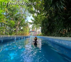 [P35]  -- <small>// FĂRĂ DESCRIERE</small> » foto by elenaadina
 - 
<span class="allrVoted glyphicon glyphicon-heart hidden" id="av1514594"></span>
<a class="m-l-10 hidden" id="sv1514594" onclick="voting_Foto_DelVot(,1514594,29225)" role="button">șterge vot <span class="glyphicon glyphicon-remove"></span></a>
<a id="v91514594" class=" c-red"  onclick="voting_Foto_SetVot(1514594)" role="button"><span class="glyphicon glyphicon-heart-empty"></span> <b>LIKE</b> = Votează poza</a> <img class="hidden"  id="f1514594W9" src="/imagini/loader.gif" border="0" /><span class="AjErrMes hidden" id="e1514594ErM"></span>