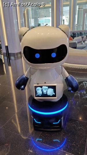 [P47] robotelul din zona receptiei » foto by elenaadina
 - 
<span class="allrVoted glyphicon glyphicon-heart hidden" id="av1514606"></span>
<a class="m-l-10 hidden" id="sv1514606" onclick="voting_Foto_DelVot(,1514606,29225)" role="button">șterge vot <span class="glyphicon glyphicon-remove"></span></a>
<a id="v91514606" class=" c-red"  onclick="voting_Foto_SetVot(1514606)" role="button"><span class="glyphicon glyphicon-heart-empty"></span> <b>LIKE</b> = Votează poza</a> <img class="hidden"  id="f1514606W9" src="/imagini/loader.gif" border="0" /><span class="AjErrMes hidden" id="e1514606ErM"></span>