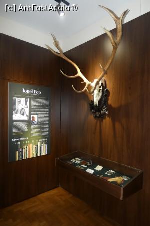 [P24] Sala ”Ionel Pop” » foto by Claudiu U.
 - 
<span class="allrVoted glyphicon glyphicon-heart hidden" id="av1514663"></span>
<a class="m-l-10 hidden" id="sv1514663" onclick="voting_Foto_DelVot(,1514663,29226)" role="button">șterge vot <span class="glyphicon glyphicon-remove"></span></a>
<a id="v91514663" class=" c-red"  onclick="voting_Foto_SetVot(1514663)" role="button"><span class="glyphicon glyphicon-heart-empty"></span> <b>LIKE</b> = Votează poza</a> <img class="hidden"  id="f1514663W9" src="/imagini/loader.gif" border="0" /><span class="AjErrMes hidden" id="e1514663ErM"></span>