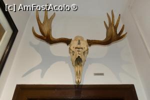 [P26]  -- <small>// FĂRĂ DESCRIERE</small> » foto by Claudiu U.
 - 
<span class="allrVoted glyphicon glyphicon-heart hidden" id="av1514665"></span>
<a class="m-l-10 hidden" id="sv1514665" onclick="voting_Foto_DelVot(,1514665,29226)" role="button">șterge vot <span class="glyphicon glyphicon-remove"></span></a>
<a id="v91514665" class=" c-red"  onclick="voting_Foto_SetVot(1514665)" role="button"><span class="glyphicon glyphicon-heart-empty"></span> <b>LIKE</b> = Votează poza</a> <img class="hidden"  id="f1514665W9" src="/imagini/loader.gif" border="0" /><span class="AjErrMes hidden" id="e1514665ErM"></span>