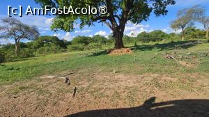 [P33] prin parcul natural » foto by robert
 - 
<span class="allrVoted glyphicon glyphicon-heart hidden" id="av1513781"></span>
<a class="m-l-10 hidden" id="sv1513781" onclick="voting_Foto_DelVot(,1513781,29229)" role="button">șterge vot <span class="glyphicon glyphicon-remove"></span></a>
<a id="v91513781" class=" c-red"  onclick="voting_Foto_SetVot(1513781)" role="button"><span class="glyphicon glyphicon-heart-empty"></span> <b>LIKE</b> = Votează poza</a> <img class="hidden"  id="f1513781W9" src="/imagini/loader.gif" border="0" /><span class="AjErrMes hidden" id="e1513781ErM"></span>