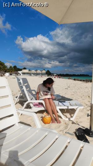 [P13] Am negociat sezlongurile la 10 USD plus un cocktail. L-am rugat însă pe Antonio ca Anei să-i aducă o nucă de cocos veritabilă - deși avea la taraba lui mai multe cu coajă verde, a plecat și i-a adus una chiar coaptă bine! Tx, good friend Antonio » foto by Cornel
 - 
<span class="allrVoted glyphicon glyphicon-heart hidden" id="av1515036"></span>
<a class="m-l-10 hidden" id="sv1515036" onclick="voting_Foto_DelVot(,1515036,29233)" role="button">șterge vot <span class="glyphicon glyphicon-remove"></span></a>
<a id="v91515036" class=" c-red"  onclick="voting_Foto_SetVot(1515036)" role="button"><span class="glyphicon glyphicon-heart-empty"></span> <b>LIKE</b> = Votează poza</a> <img class="hidden"  id="f1515036W9" src="/imagini/loader.gif" border="0" /><span class="AjErrMes hidden" id="e1515036ErM"></span>