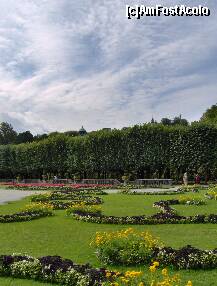 [P07] O zi in Salzburg - Gradinile Mirabell - flori de toate culorile » foto by irma_ro*
 - 
<span class="allrVoted glyphicon glyphicon-heart hidden" id="av173064"></span>
<a class="m-l-10 hidden" id="sv173064" onclick="voting_Foto_DelVot(,173064,29235)" role="button">șterge vot <span class="glyphicon glyphicon-remove"></span></a>
<a id="v9173064" class=" c-red"  onclick="voting_Foto_SetVot(173064)" role="button"><span class="glyphicon glyphicon-heart-empty"></span> <b>LIKE</b> = Votează poza</a> <img class="hidden"  id="f173064W9" src="/imagini/loader.gif" border="0" /><span class="AjErrMes hidden" id="e173064ErM"></span>