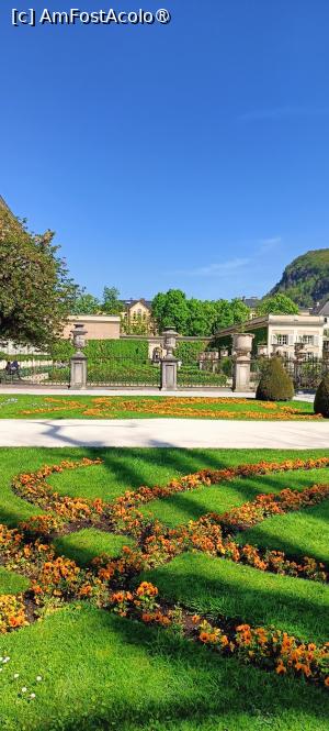 [P15] Spre parterul mare; în colț dreapta „orangeria”. » foto by tata123 🔱
 - 
<span class="allrVoted glyphicon glyphicon-heart hidden" id="av1518867"></span>
<a class="m-l-10 hidden" id="sv1518867" onclick="voting_Foto_DelVot(,1518867,29235)" role="button">șterge vot <span class="glyphicon glyphicon-remove"></span></a>
<a id="v91518867" class=" c-red"  onclick="voting_Foto_SetVot(1518867)" role="button"><span class="glyphicon glyphicon-heart-empty"></span> <b>LIKE</b> = Votează poza</a> <img class="hidden"  id="f1518867W9" src="/imagini/loader.gif" border="0" /><span class="AjErrMes hidden" id="e1518867ErM"></span>