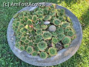 [P22] Decor exterior » foto by crismis
 - 
<span class="allrVoted glyphicon glyphicon-heart hidden" id="av1522450"></span>
<a class="m-l-10 hidden" id="sv1522450" onclick="voting_Foto_DelVot(,1522450,29284)" role="button">șterge vot <span class="glyphicon glyphicon-remove"></span></a>
<a id="v91522450" class=" c-red"  onclick="voting_Foto_SetVot(1522450)" role="button"><span class="glyphicon glyphicon-heart-empty"></span> <b>LIKE</b> = Votează poza</a> <img class="hidden"  id="f1522450W9" src="/imagini/loader.gif" border="0" /><span class="AjErrMes hidden" id="e1522450ErM"></span>