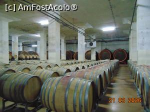 [P23] butoaie frumos aliniate » foto by Yolanda
 - 
<span class="allrVoted glyphicon glyphicon-heart hidden" id="av1524447"></span>
<a class="m-l-10 hidden" id="sv1524447" onclick="voting_Foto_DelVot(,1524447,29294)" role="button">șterge vot <span class="glyphicon glyphicon-remove"></span></a>
<a id="v91524447" class=" c-red"  onclick="voting_Foto_SetVot(1524447)" role="button"><span class="glyphicon glyphicon-heart-empty"></span> <b>LIKE</b> = Votează poza</a> <img class="hidden"  id="f1524447W9" src="/imagini/loader.gif" border="0" /><span class="AjErrMes hidden" id="e1524447ErM"></span>