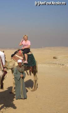 [P02] Sus pe camila esti singur, dar intotdeauna cineva va indruma camila » foto by nicoletass
 - 
<span class="allrVoted glyphicon glyphicon-heart hidden" id="av222228"></span>
<a class="m-l-10 hidden" id="sv222228" onclick="voting_Foto_DelVot(,222228,29302)" role="button">șterge vot <span class="glyphicon glyphicon-remove"></span></a>
<a id="v9222228" class=" c-red"  onclick="voting_Foto_SetVot(222228)" role="button"><span class="glyphicon glyphicon-heart-empty"></span> <b>LIKE</b> = Votează poza</a> <img class="hidden"  id="f222228W9" src="/imagini/loader.gif" border="0" /><span class="AjErrMes hidden" id="e222228ErM"></span>