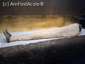 [P15] Necropola Saqqara, Muzeul Imhotep, Mumia regelui Merenre I, una din puținele mumii ce au aparținut Vechiului Regat, Dinastia 6, sec. 24-23 î. Hr. » foto by mprofeanu
 - 
<span class="allrVoted glyphicon glyphicon-heart hidden" id="av1525338"></span>
<a class="m-l-10 hidden" id="sv1525338" onclick="voting_Foto_DelVot(,1525338,29302)" role="button">șterge vot <span class="glyphicon glyphicon-remove"></span></a>
<a id="v91525338" class=" c-red"  onclick="voting_Foto_SetVot(1525338)" role="button"><span class="glyphicon glyphicon-heart-empty"></span> <b>LIKE</b> = Votează poza</a> <img class="hidden"  id="f1525338W9" src="/imagini/loader.gif" border="0" /><span class="AjErrMes hidden" id="e1525338ErM"></span>