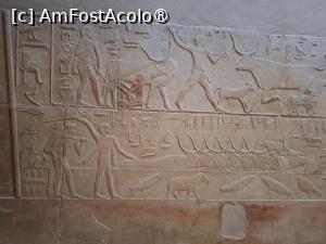 [P45] Necropola Saqqara, Mormântul lui Kangemi, crescătorii de animale, se vede cum un om mulge vaca... » foto by mprofeanu
 - 
<span class="allrVoted glyphicon glyphicon-heart hidden" id="av1525368"></span>
<a class="m-l-10 hidden" id="sv1525368" onclick="voting_Foto_DelVot(,1525368,29302)" role="button">șterge vot <span class="glyphicon glyphicon-remove"></span></a>
<a id="v91525368" class=" c-red"  onclick="voting_Foto_SetVot(1525368)" role="button"><span class="glyphicon glyphicon-heart-empty"></span> <b>LIKE</b> = Votează poza</a> <img class="hidden"  id="f1525368W9" src="/imagini/loader.gif" border="0" /><span class="AjErrMes hidden" id="e1525368ErM"></span>