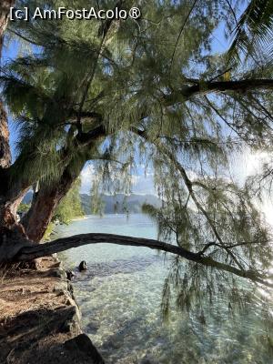 [P04] golf Moorea » foto by dop.tirbuson
 - 
<span class="allrVoted glyphicon glyphicon-heart hidden" id="av1528551"></span>
<a class="m-l-10 hidden" id="sv1528551" onclick="voting_Foto_DelVot(,1528551,29325)" role="button">șterge vot <span class="glyphicon glyphicon-remove"></span></a>
<a id="v91528551" class=" c-red"  onclick="voting_Foto_SetVot(1528551)" role="button"><span class="glyphicon glyphicon-heart-empty"></span> <b>LIKE</b> = Votează poza</a> <img class="hidden"  id="f1528551W9" src="/imagini/loader.gif" border="0" /><span class="AjErrMes hidden" id="e1528551ErM"></span>