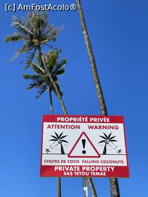 [P08] atentie la nucile de cocos » foto by dop.tirbuson
 - 
<span class="allrVoted glyphicon glyphicon-heart hidden" id="av1528555"></span>
<a class="m-l-10 hidden" id="sv1528555" onclick="voting_Foto_DelVot(,1528555,29325)" role="button">șterge vot <span class="glyphicon glyphicon-remove"></span></a>
<a id="v91528555" class=" c-red"  onclick="voting_Foto_SetVot(1528555)" role="button"><span class="glyphicon glyphicon-heart-empty"></span> <b>LIKE</b> = Votează poza</a> <img class="hidden"  id="f1528555W9" src="/imagini/loader.gif" border="0" /><span class="AjErrMes hidden" id="e1528555ErM"></span>