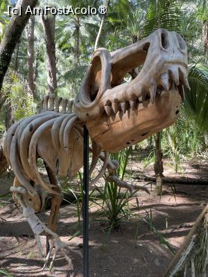 [P07] dinozaur din gradina » foto by dop.tirbuson
 - 
<span class="allrVoted glyphicon glyphicon-heart hidden" id="av1528541"></span>
<a class="m-l-10 hidden" id="sv1528541" onclick="voting_Foto_DelVot(,1528541,29327)" role="button">șterge vot <span class="glyphicon glyphicon-remove"></span></a>
<a id="v91528541" class=" c-red"  onclick="voting_Foto_SetVot(1528541)" role="button"><span class="glyphicon glyphicon-heart-empty"></span> <b>LIKE</b> = Votează poza</a> <img class="hidden"  id="f1528541W9" src="/imagini/loader.gif" border="0" /><span class="AjErrMes hidden" id="e1528541ErM"></span>